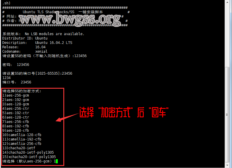 Ubuntu TLS 系统 Shadowsocks / SS 一键脚本安装教程