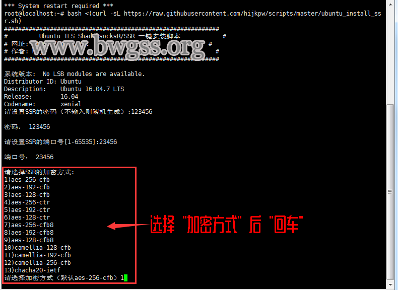 Ubuntu TLS 系统 ShadowsocksR / SSR 一键脚本安装教程