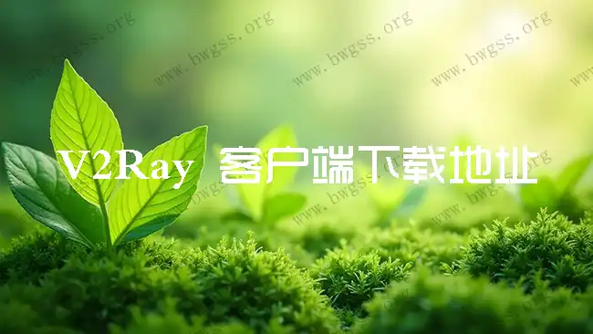 V2Ray 客户端下载地址