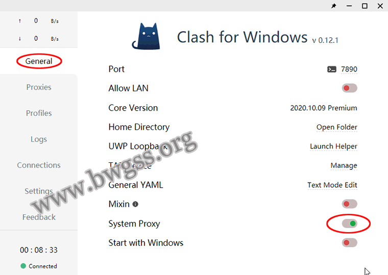 Clash for Windows 配置 V2Ray 教程