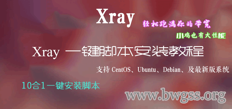 Xray 一键脚本安装教程