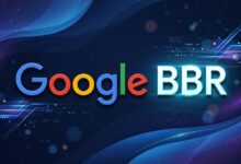 搬瓦工 VPS 安装魔改版 Google BBR 加速教程-搬瓦工教程