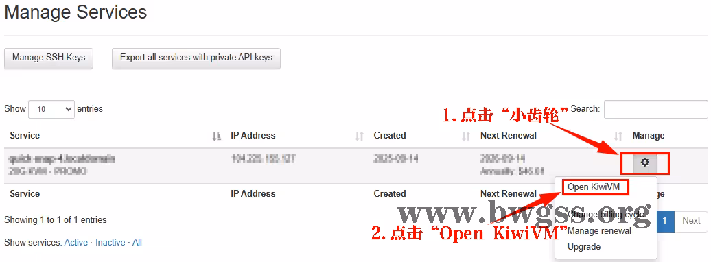 点击设置图标后选择Open KiwiVM