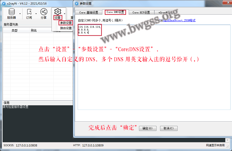 怎么在 v2rayN 客户端自定义 DNS