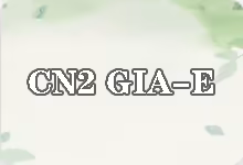 搬瓦工 CN2 GIA ECOMMERCE 方案 VPS 套餐介绍-搬瓦工教程-搬瓦工机场-Just My Socks