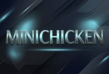 搬瓦工 MINICHICKEN 限量版评测：这款$19/年超廉价VPS值得买吗？-搬瓦工教程