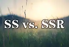 SS 与 SSR 节点有什么区别?哪个更稳定好用?-搬瓦工教程-搬瓦工机场-Just My Socks
