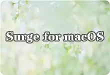 macOS 平台 Surge 完整配置使用教程 (以 Just My Socks 为例)-搬瓦工教程-搬瓦工机场-Just My Socks