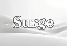 Surge 技术架构与核心功能解析-搬瓦工教程-搬瓦工机场-Just My Socks