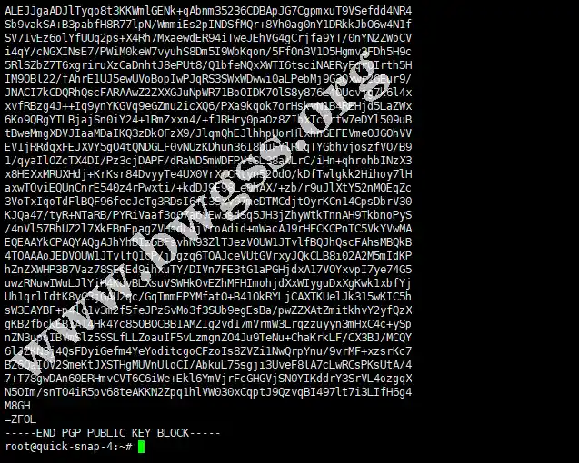 Linux终端在执行添加GPG密钥的命令后，成功输出了完整的PGP公钥文本块。