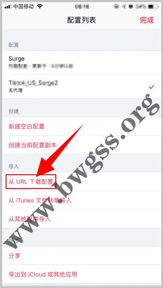 Surge 的配置列表页面,有“从 URL 下载配置”选项。