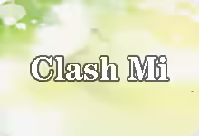 Clash Mi 安卓 (Android) 教程:从下载安装到配置订阅的完整指南-搬瓦工教程-搬瓦工机场-Just My Socks