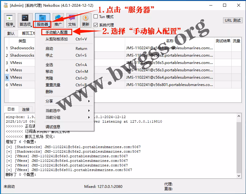 NekoRay 手动输入配置