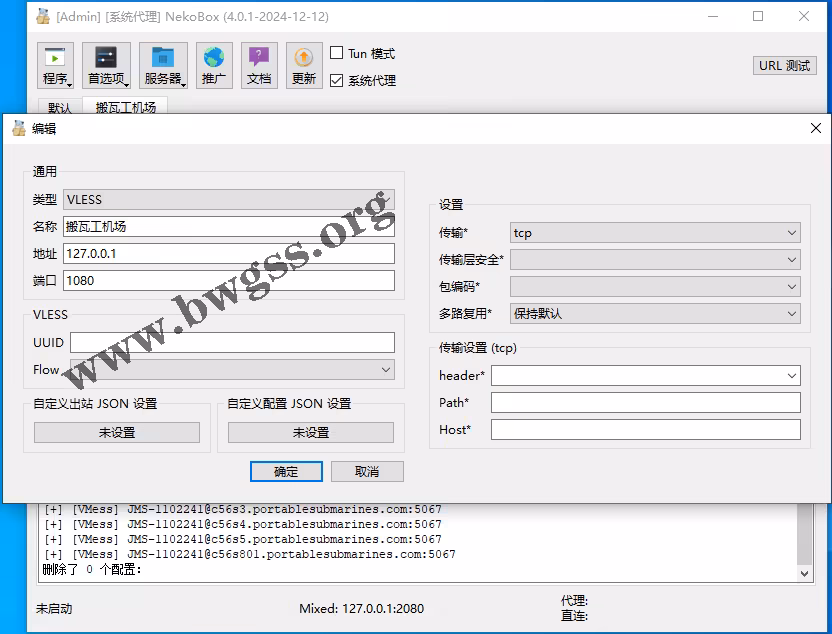 NekoRay 添加 VLESS 服务器配置