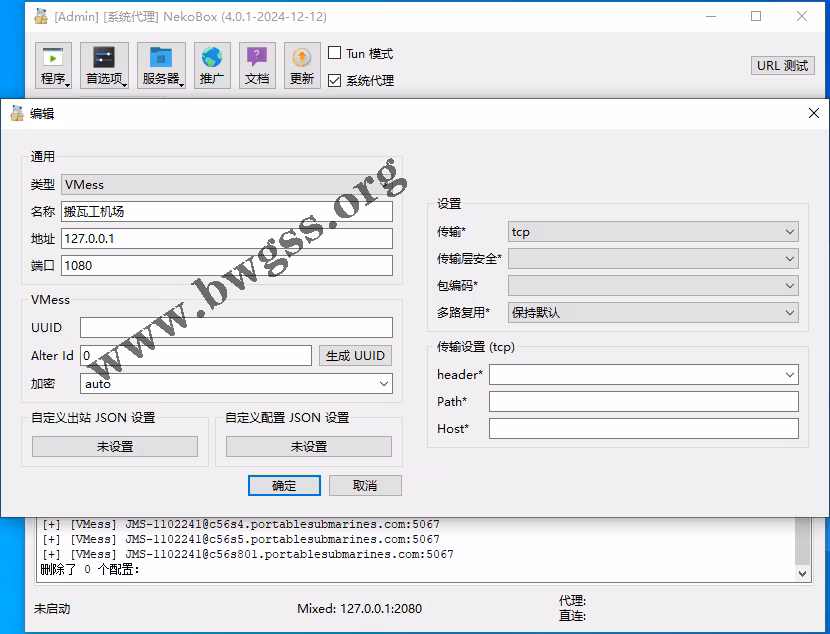 NekoRay 添加 VMess 服务器配置