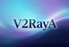 Linux 服务器安装 V2RayA 教程：配置 Just My Socks 订阅与透明代理-搬瓦工教程