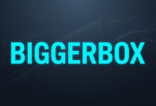 搬瓦工限量版套餐 BIGGERBOX-20-1024:DC99 机房与邀请码购买说明-搬瓦工教程