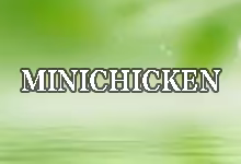 搬瓦工 MINICHICKEN 限量版套餐 $19/年 今日补货 (30天内IP被封可退款)-搬瓦工教程-搬瓦工机场-Just My Socks