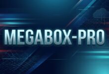 搬瓦工 MEGABOX-PRO 限量版:2核2G,DC1机房,49美元/年-搬瓦工教程