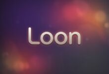 Loon配置教程:iPhone代理工具零基础操作指南(支持 VLESS Reality)-搬瓦工教程