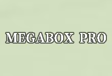 搬瓦工限量版套餐 MEGABOX PRO 介绍:$49/年 2G内存 2TB流量 DC1 机房-搬瓦工教程-搬瓦工机场-Just My Socks