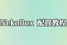 NekoBox for Android 配置教程:从零开始导入订阅 (含路由与测速)-搬瓦工教程-搬瓦工机场-Just My Socks