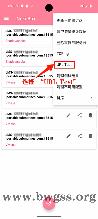 NekoBox 菜单选择 URL Test 测速