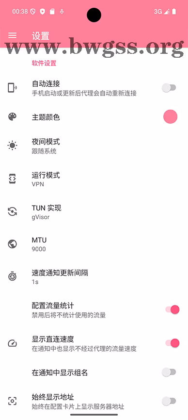 NekoBox 详细设置页面