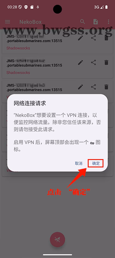 NekoBox 请求 VPN 权限