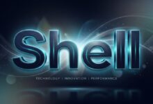 搬瓦工 Root shell - basic 使用教程:KiwiVM 网页终端功能与限制-搬瓦工教程