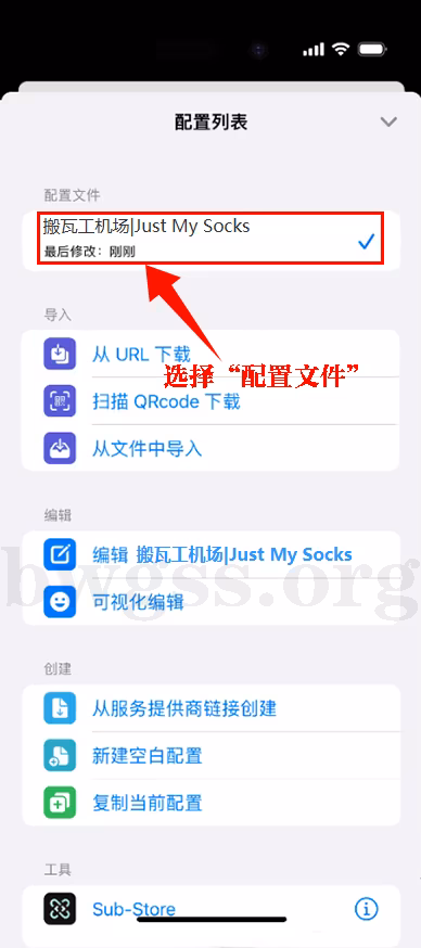 Stash配置列表选中“搬瓦工机场|Just My Socks”