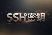搬瓦工 SSH 密钥登录教程:Xshell 生成密钥与 KiwiVM 添加公钥-搬瓦工教程