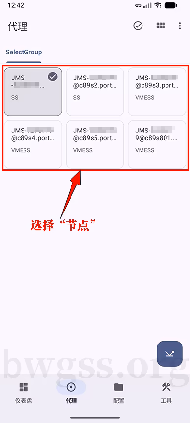 Surfboard 代理界面展示 Just My Socks 节点列表