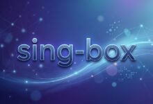 sing-box 是什么?和 Clash、Xray 的区别,新手应该怎么选?-搬瓦工教程
