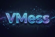 3X-UI 面板搭建 VMess 节点教程:添加入站、客户端并导出链接-搬瓦工教程