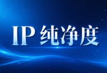 代理节点 IP 纯净度检测教程:检查 VPN、DNS 与 WebRTC 泄露-搬瓦工教程