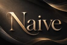 S-UI 面板 Naive 搭建教程:VPS 创建 NaiveProxy 代理节点-搬瓦工教程