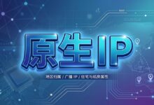 什么是原生 IP?它与广播 IP、住宅 IP 和机房 IP 的区别-搬瓦工教程