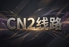 什么是 CN2 线路?CN2 GIA 和 CN2 GT 有什么区别?-搬瓦工教程
